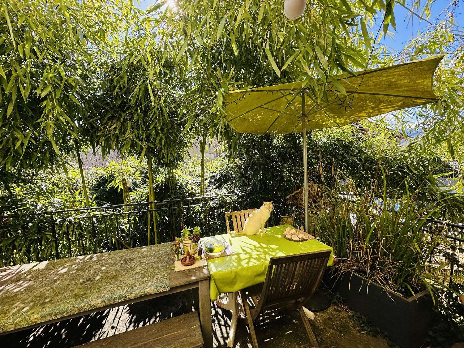 en venta casa Saleich Haute-Garonne 2