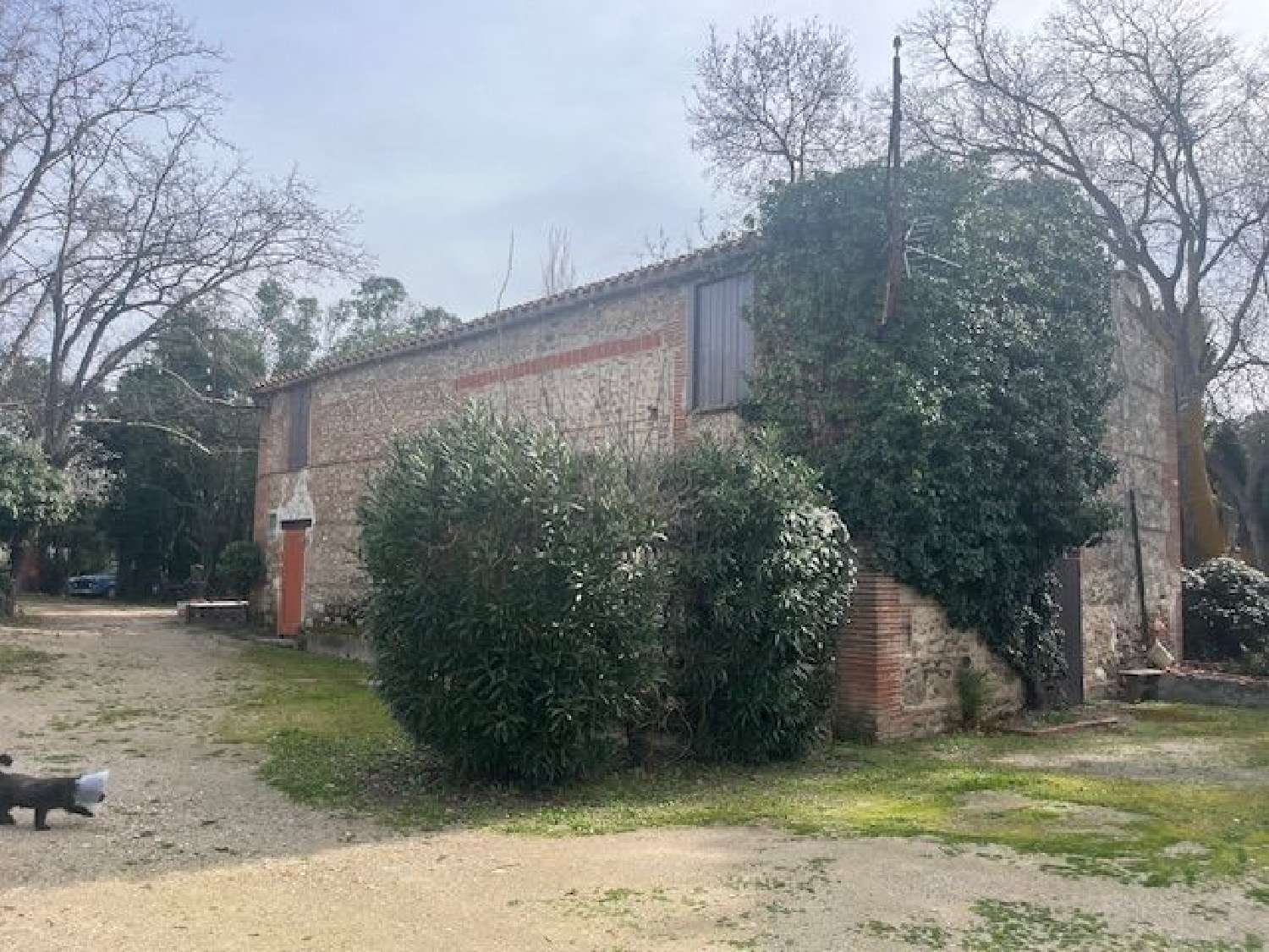  kaufen Haus Saleilles Pyrénées-Orientales 2