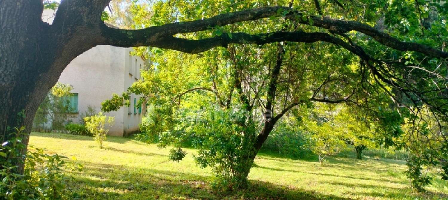  à vendre maison San-Nicolao Haute-Corse 1