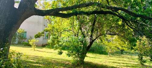 San-Nicolao Haute-Corse maison foto 7060933