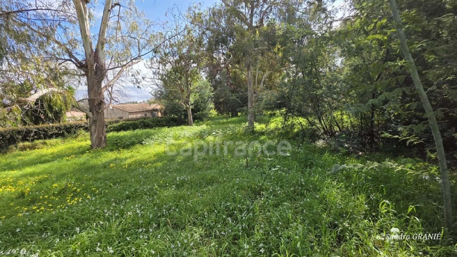  à vendre maison San-Nicolao Haute-Corse 3