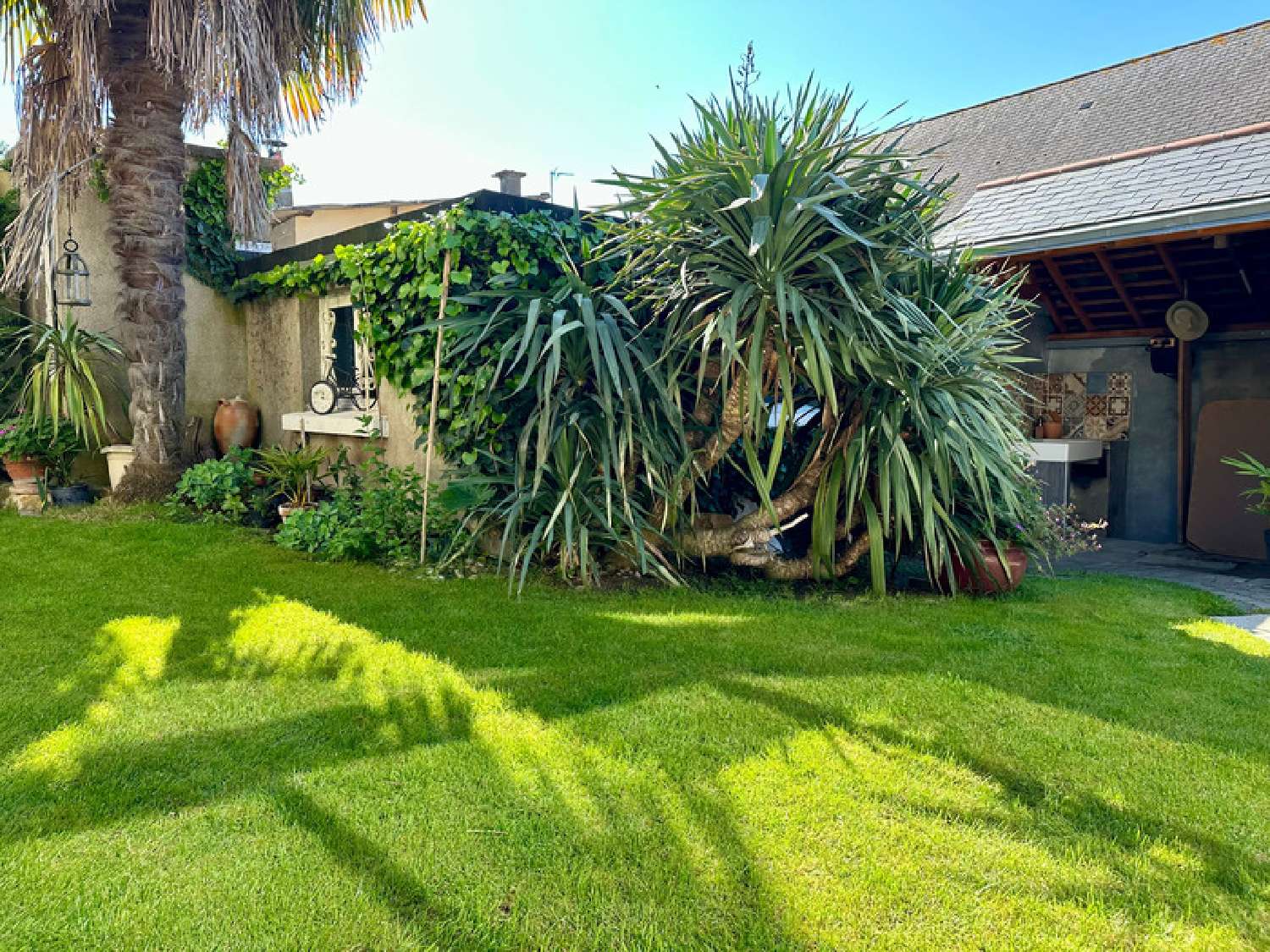  for sale house Saumur Maine-et-Loire 5