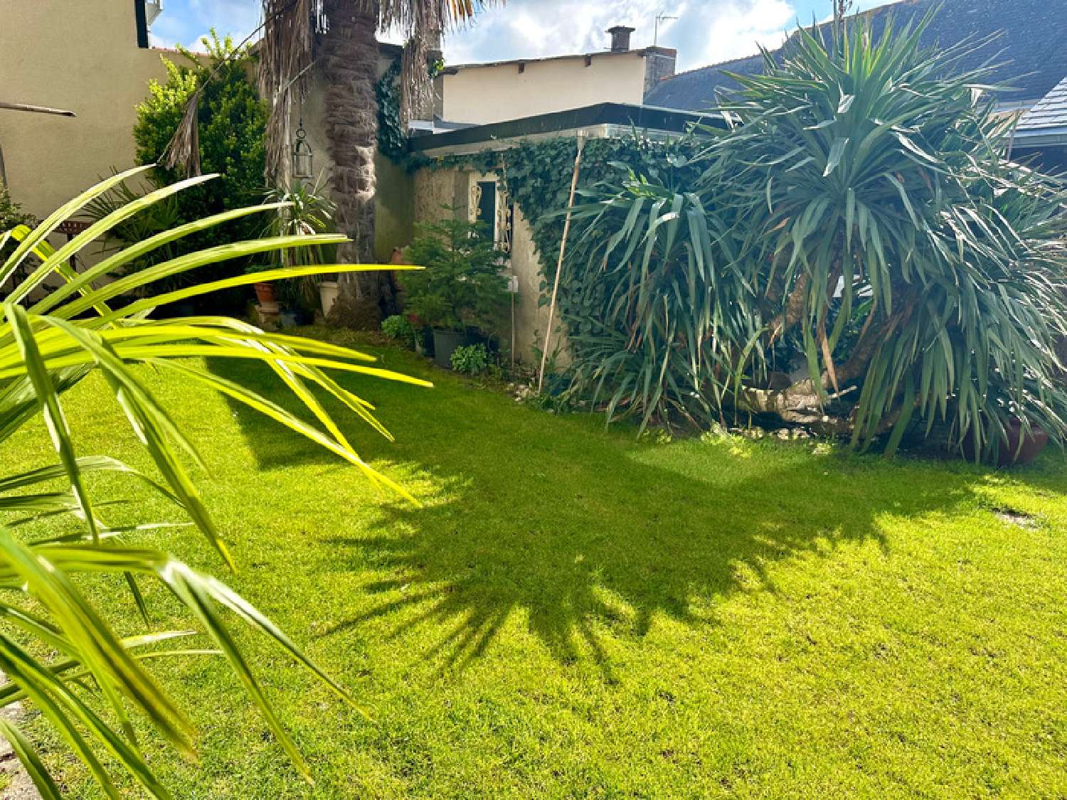  for sale house Saumur Maine-et-Loire 6
