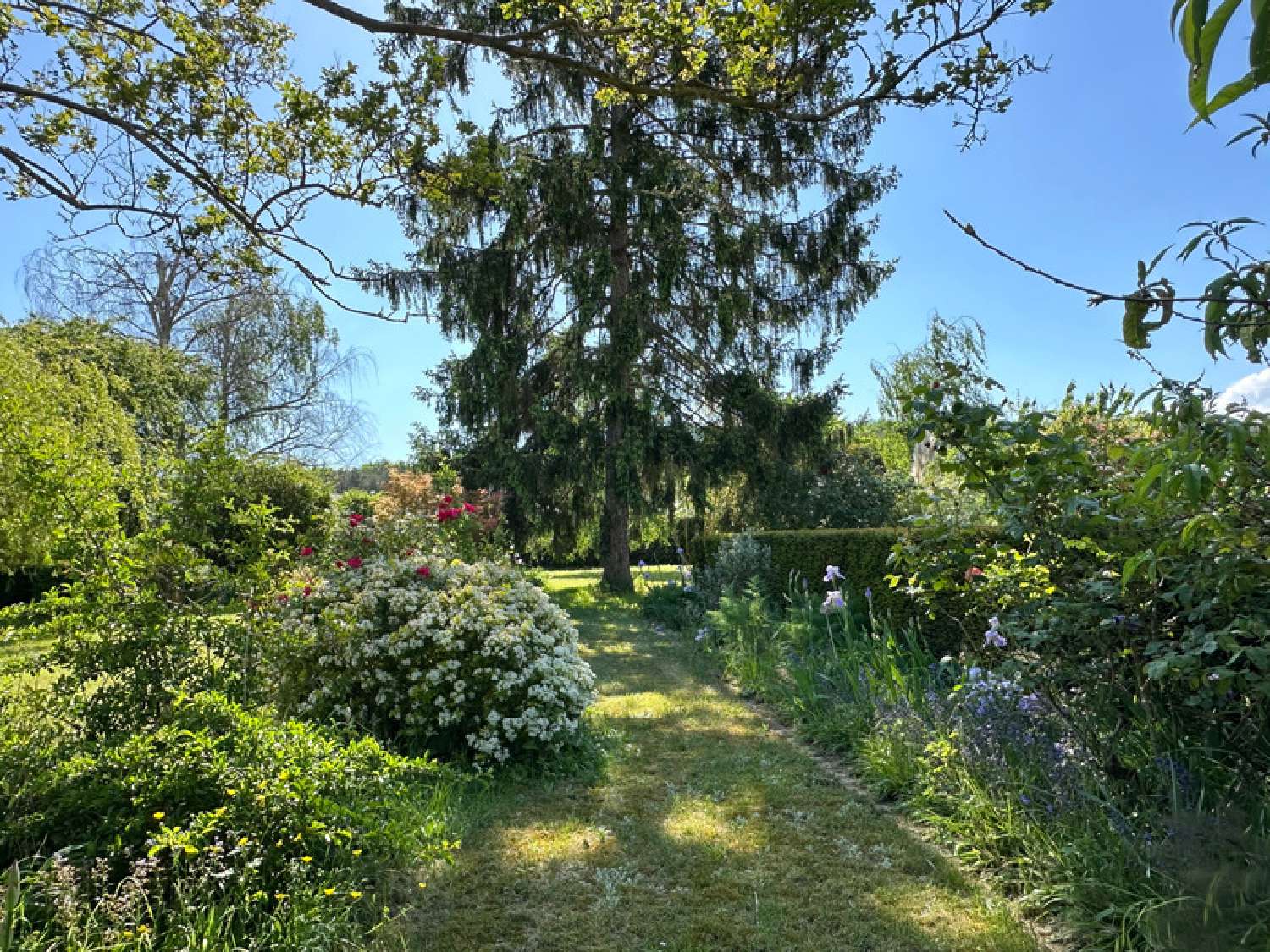  à vendre maison Saumur Maine-et-Loire 3