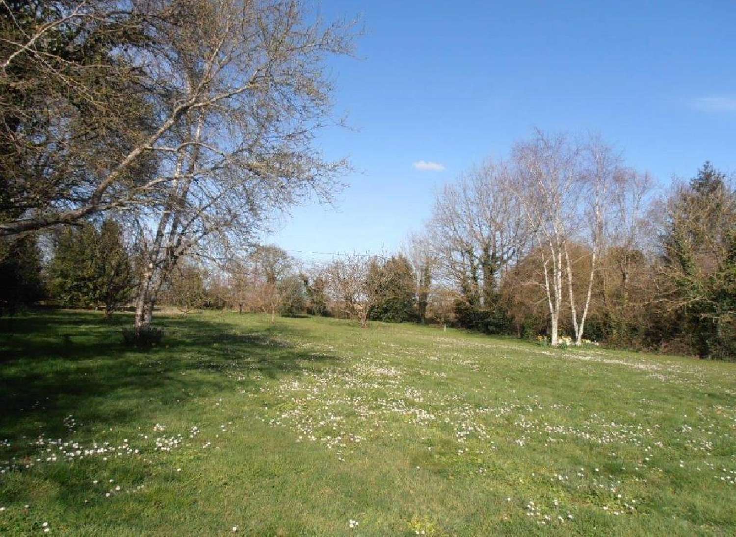  à vendre maison Sauzé-Vaussais Deux-Sèvres 4