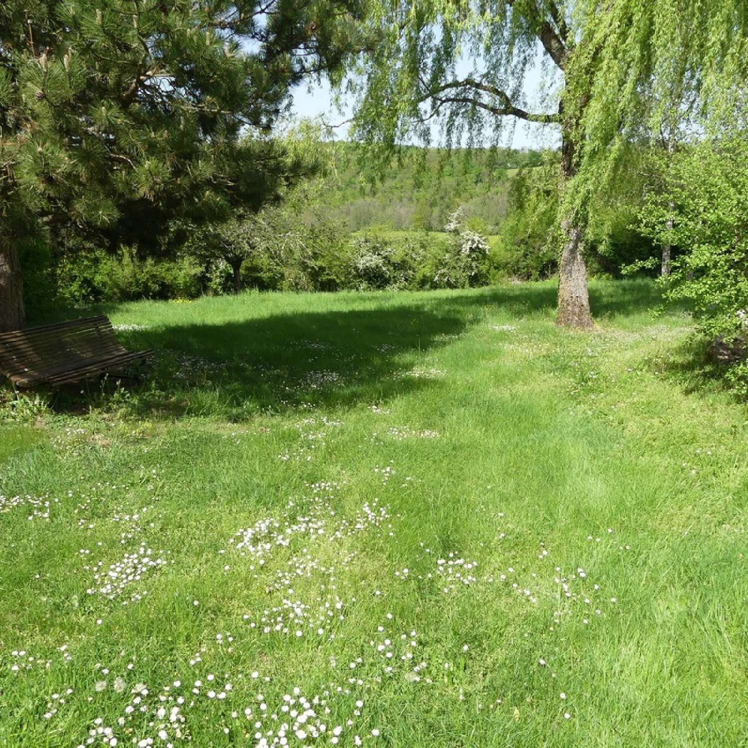 for sale house Semur-en-Auxois Côte-d'Or 5