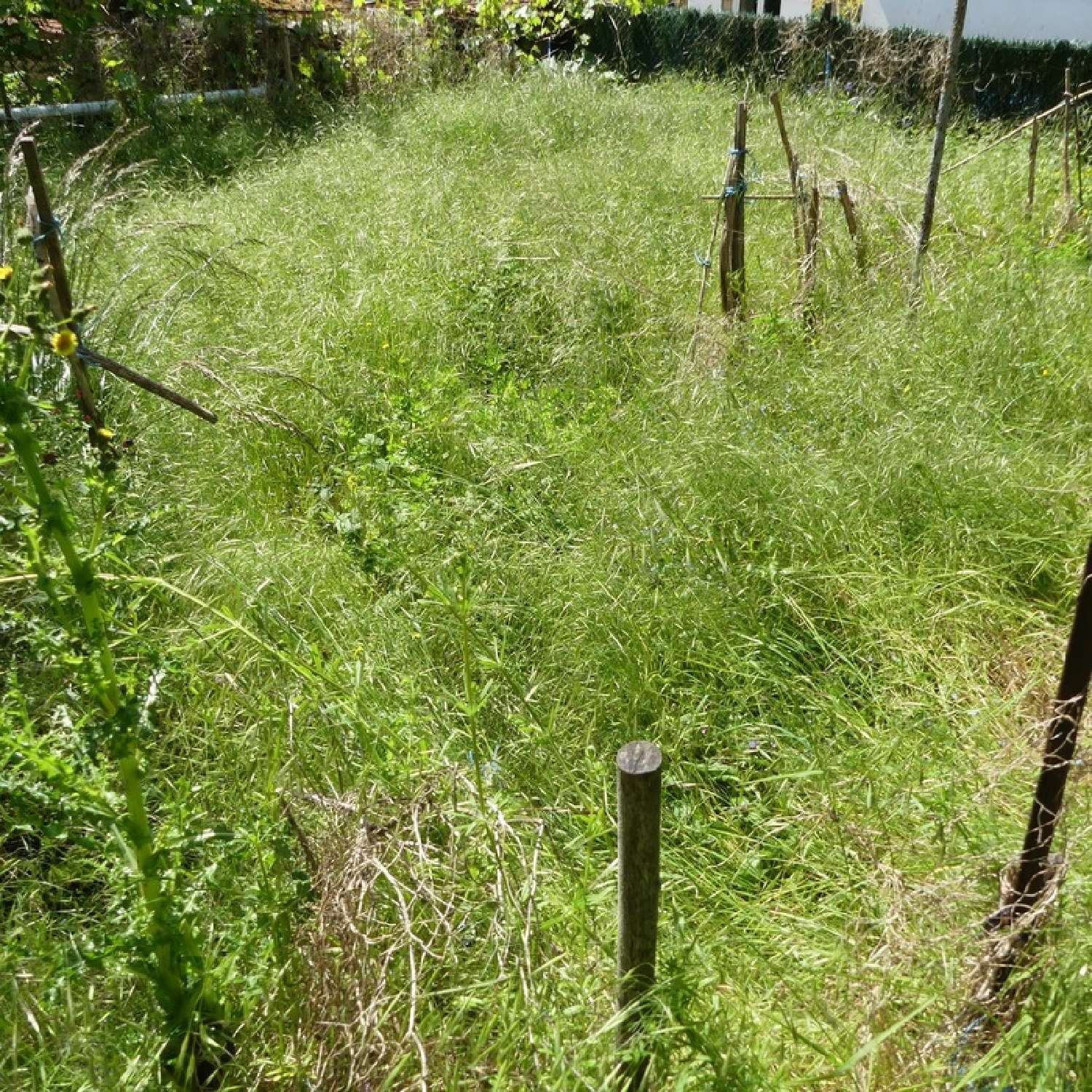  à vendre maison Semur-en-Auxois Côte-d'Or 4