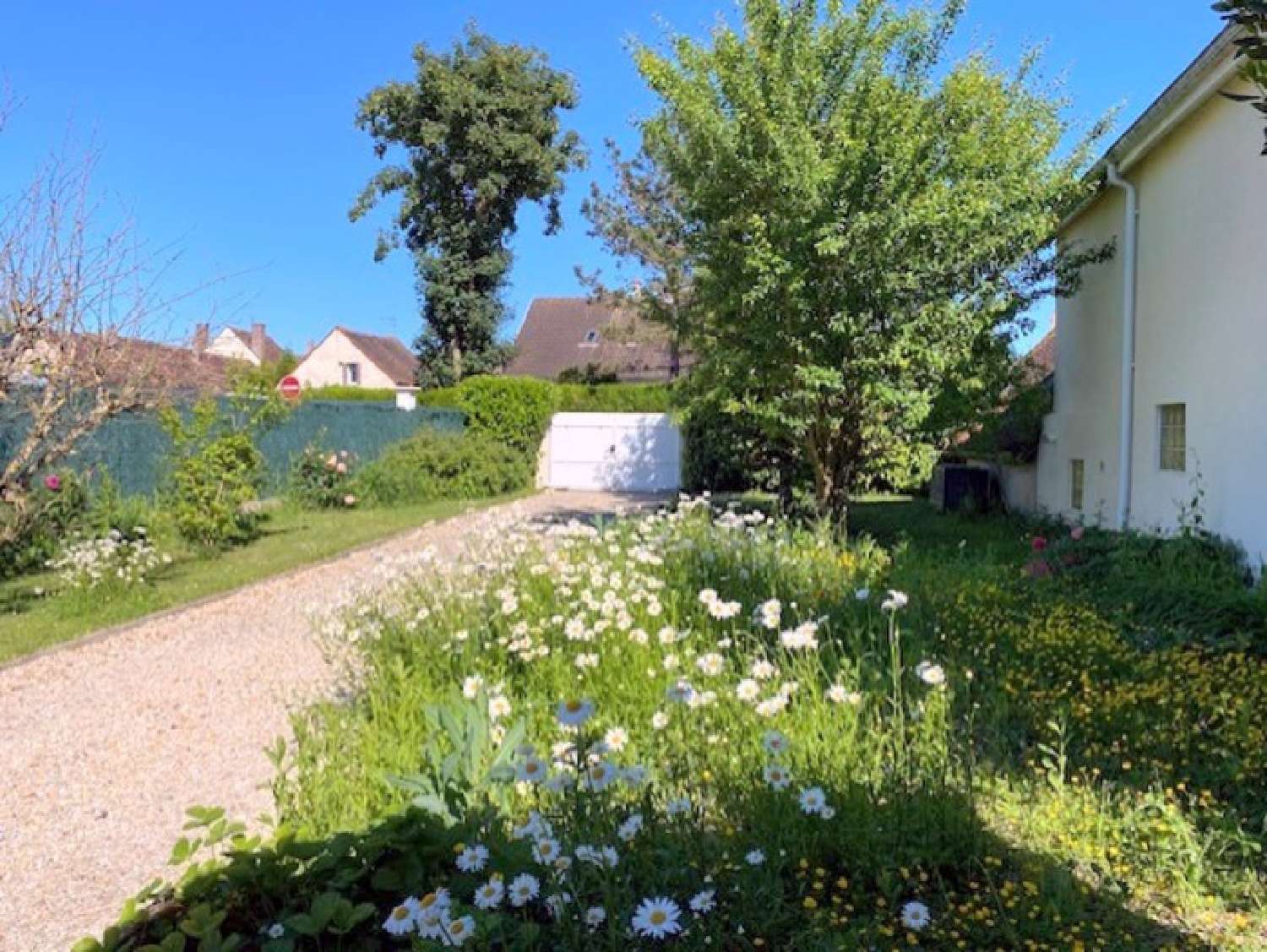  te koop huis Sens Yonne 2