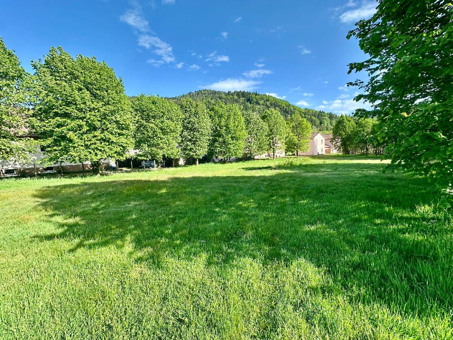  à vendre maison Servance Haute-Saône 5