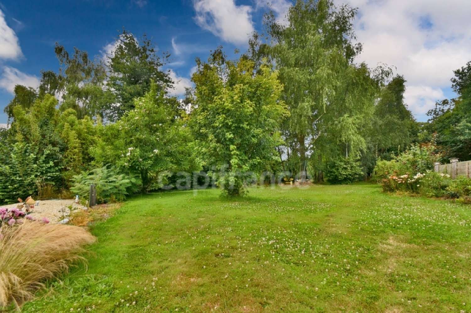  for sale house Sougéal Ille-et-Vilaine 5