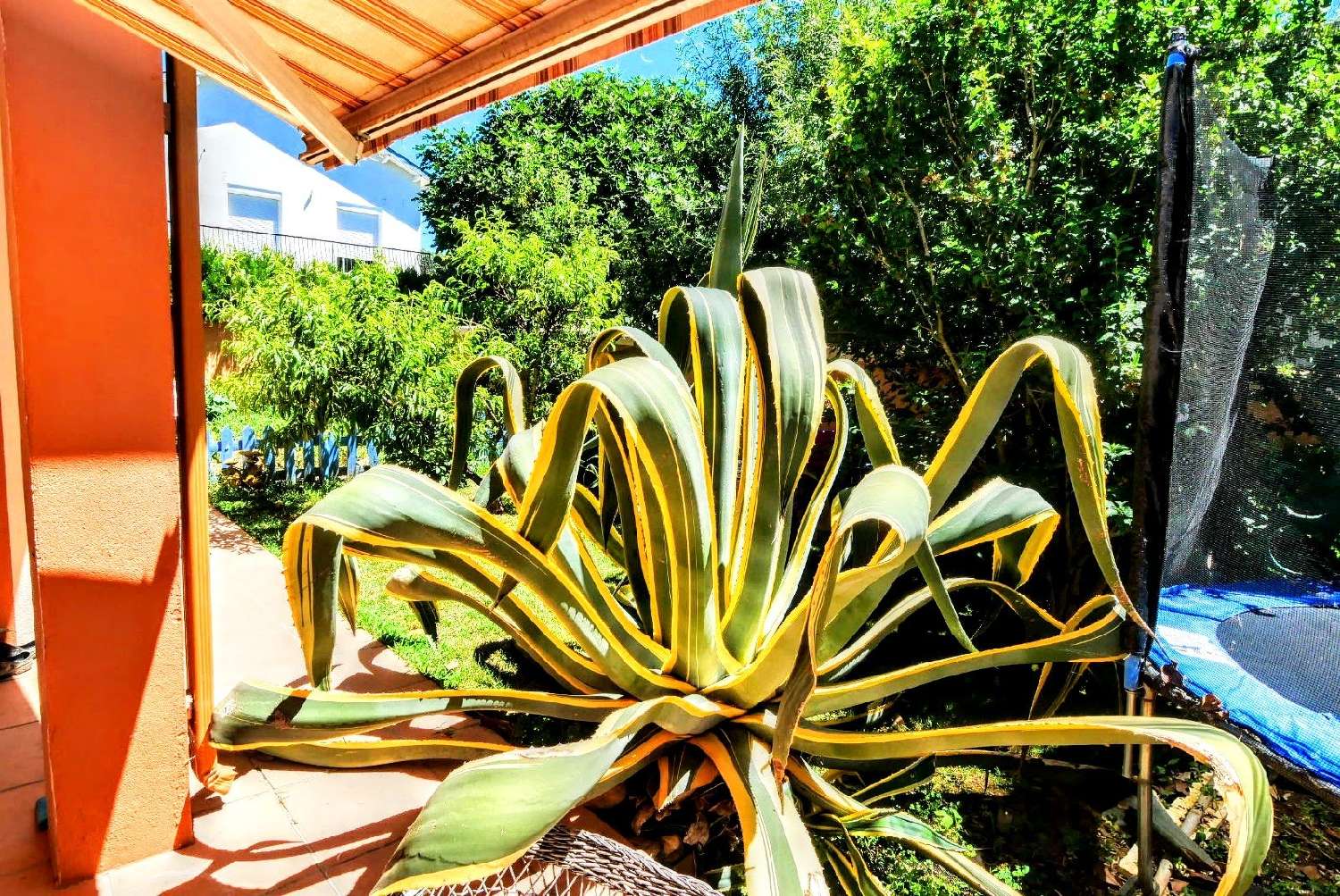 en venta casa Thèzan-lès-Béziers Hérault 2