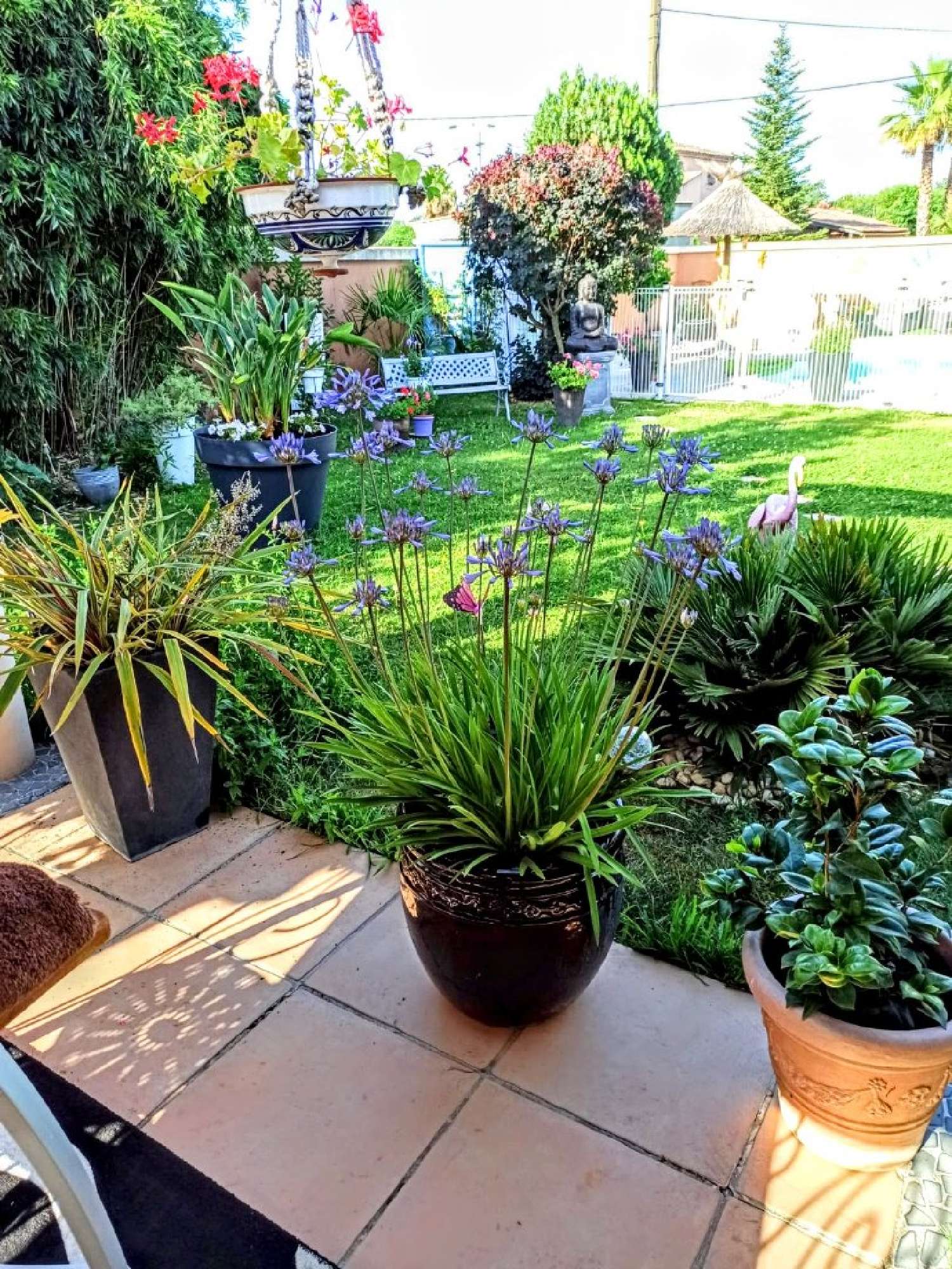  en venta casa Thèzan-lès-Béziers Hérault 4