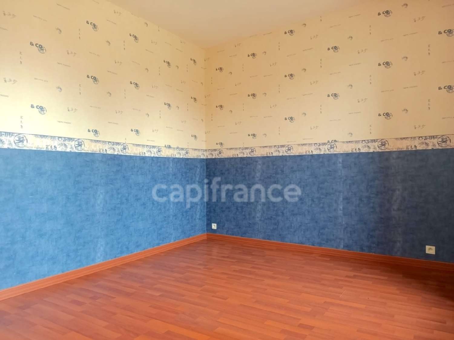  à vendre maison Thorigny-sur-Oreuse Yonne 8