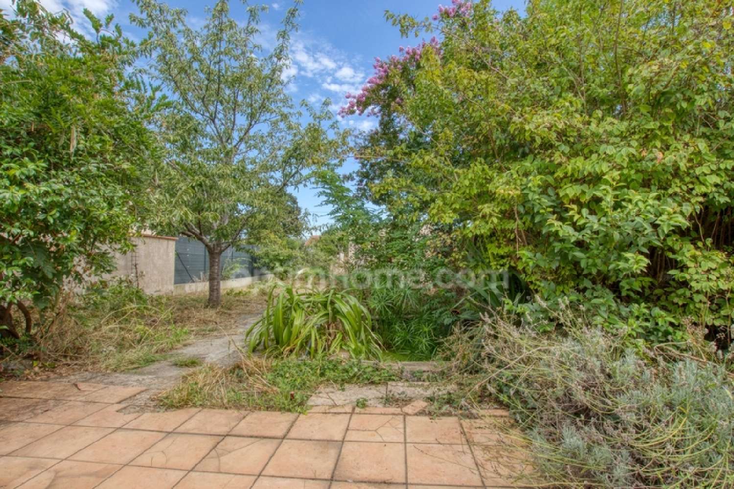  en venta casa Toulouse 31300 Haute-Garonne 4