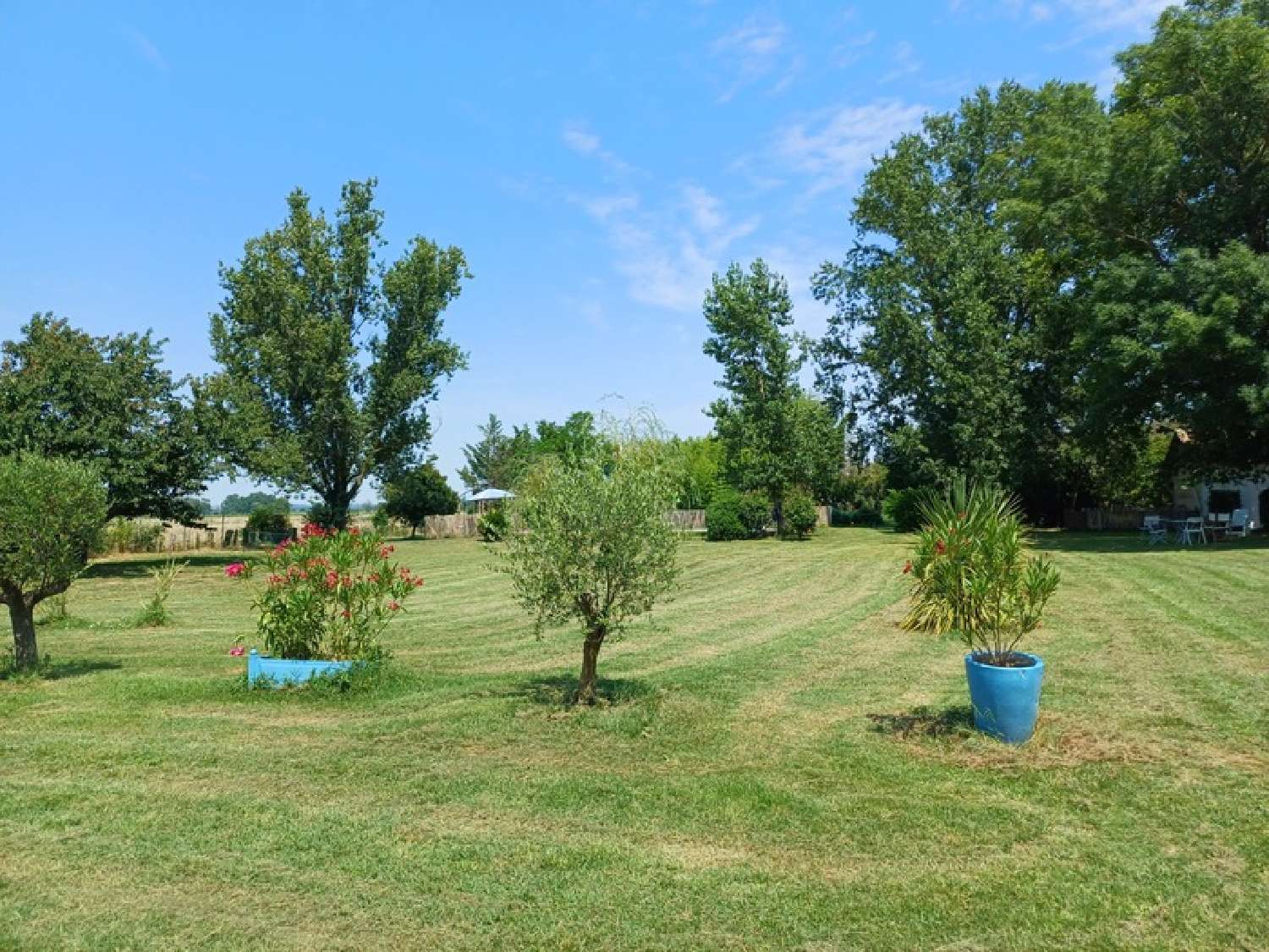  te koop huis Toulouse Haute-Garonne 5