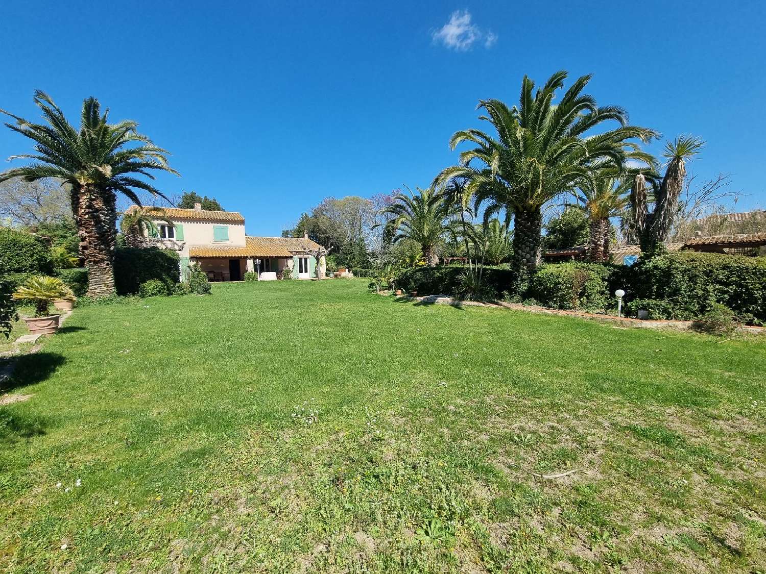  te koop huis Tourbes Hérault 1