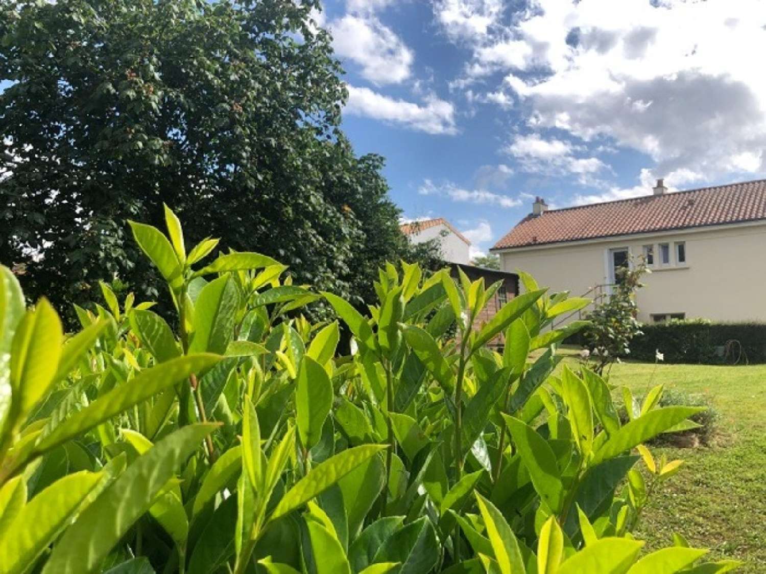  en venta casa Touvois Loire-Atlantique 3