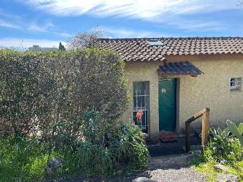 Vallauris Alpes-Maritimes maison foto 7068620