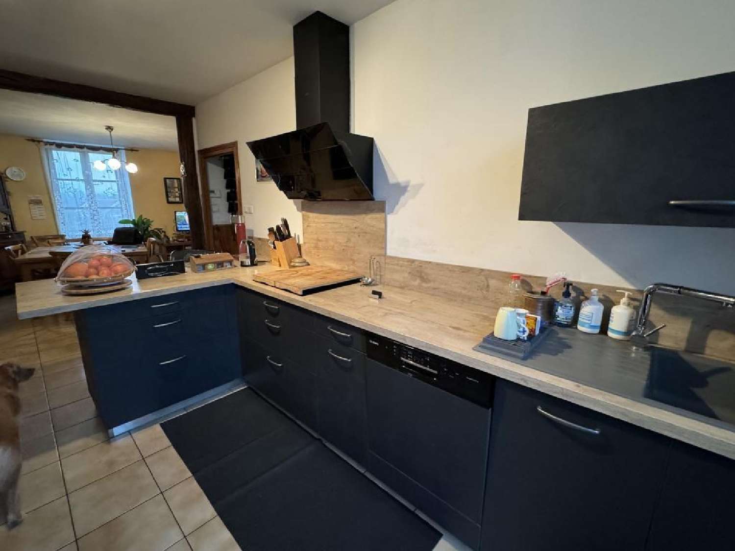  à vendre maison Vallenay Cher 2