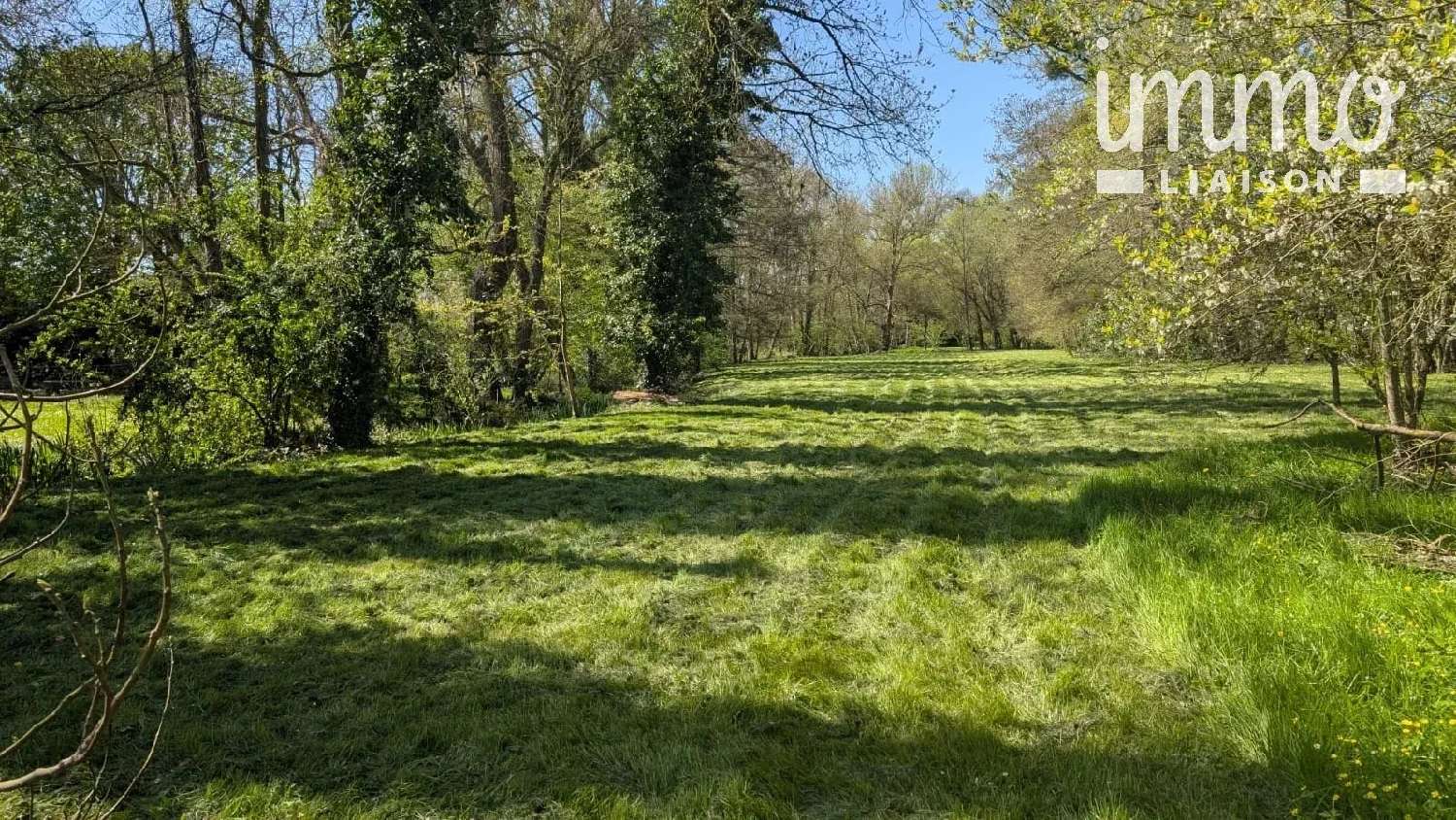  kaufen Haus Vallières-les-Grandes Loir-et-Cher 3