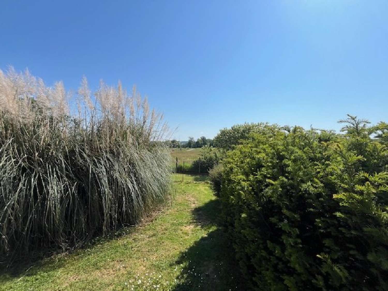  en venta casa Vayres Haute-Vienne 6