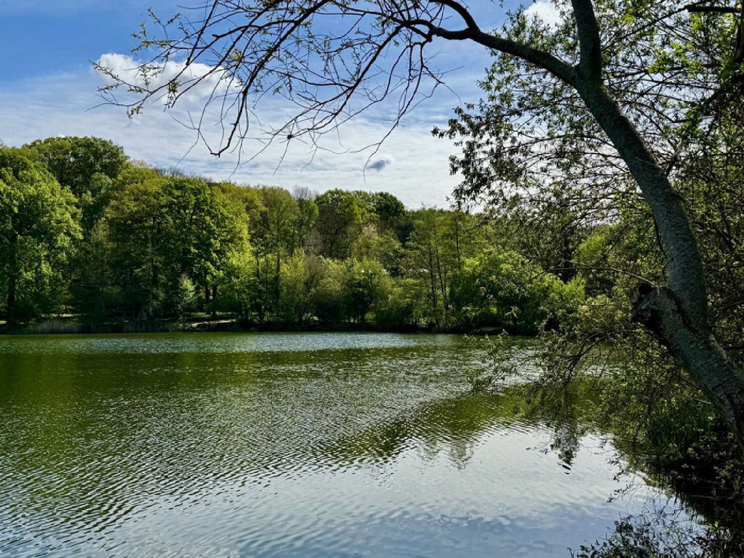  te koop huis Vélizy-Villacoublay Yvelines 1