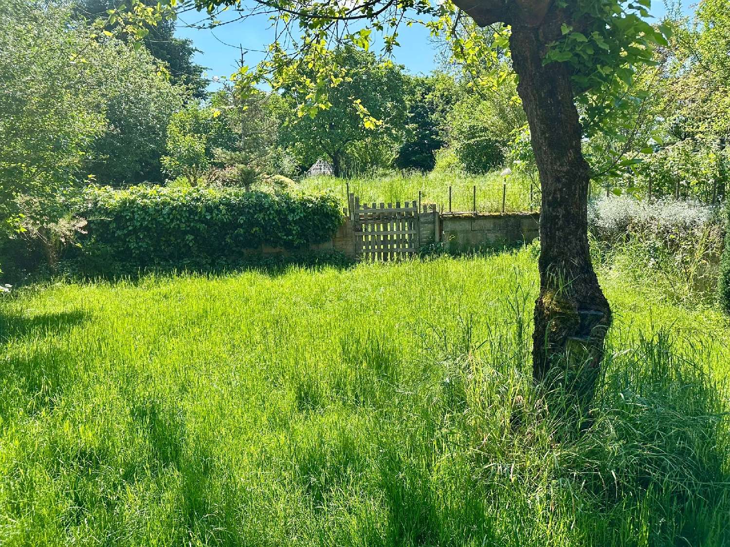  for sale house Velorcey Haute-Saône 2