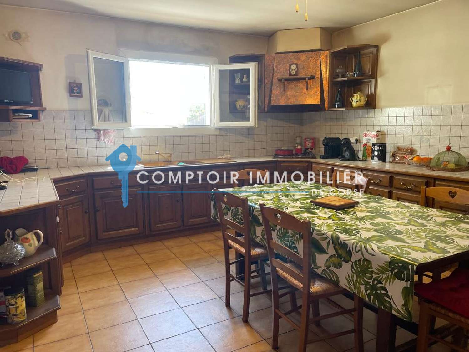  te koop huis Ventiseri Haute-Corse 4