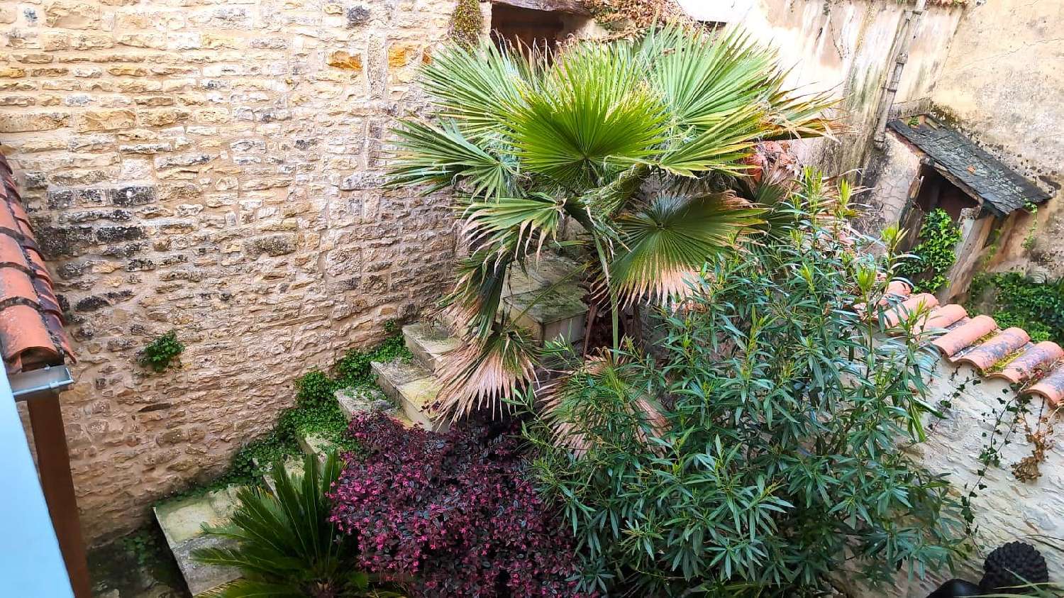 en venta casa Verteuil-sur-Charente Charente 7
