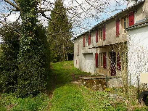 Viane Tarn casa foto 7064616