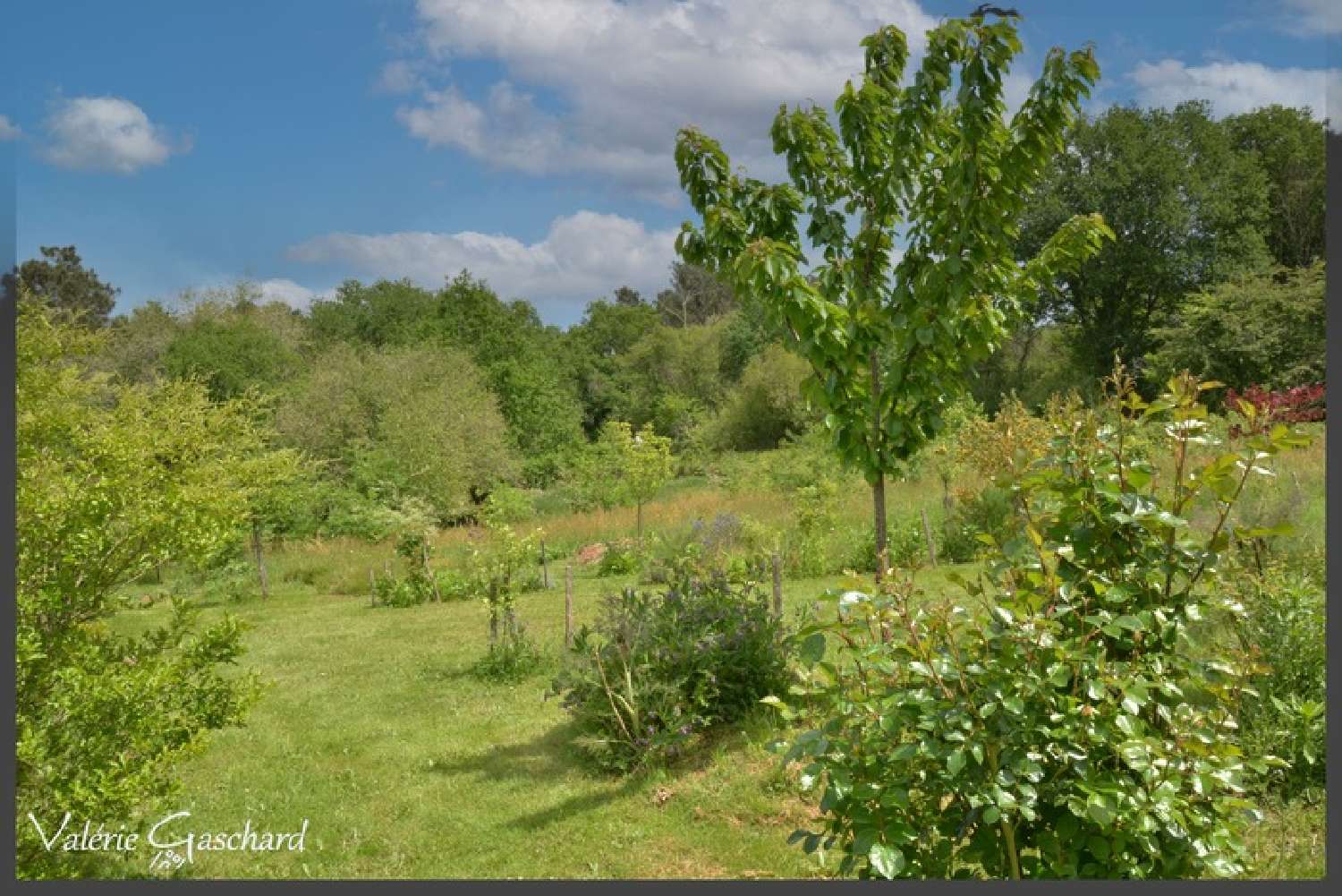  for sale house Villefranche-de-Lonchat Dordogne 4