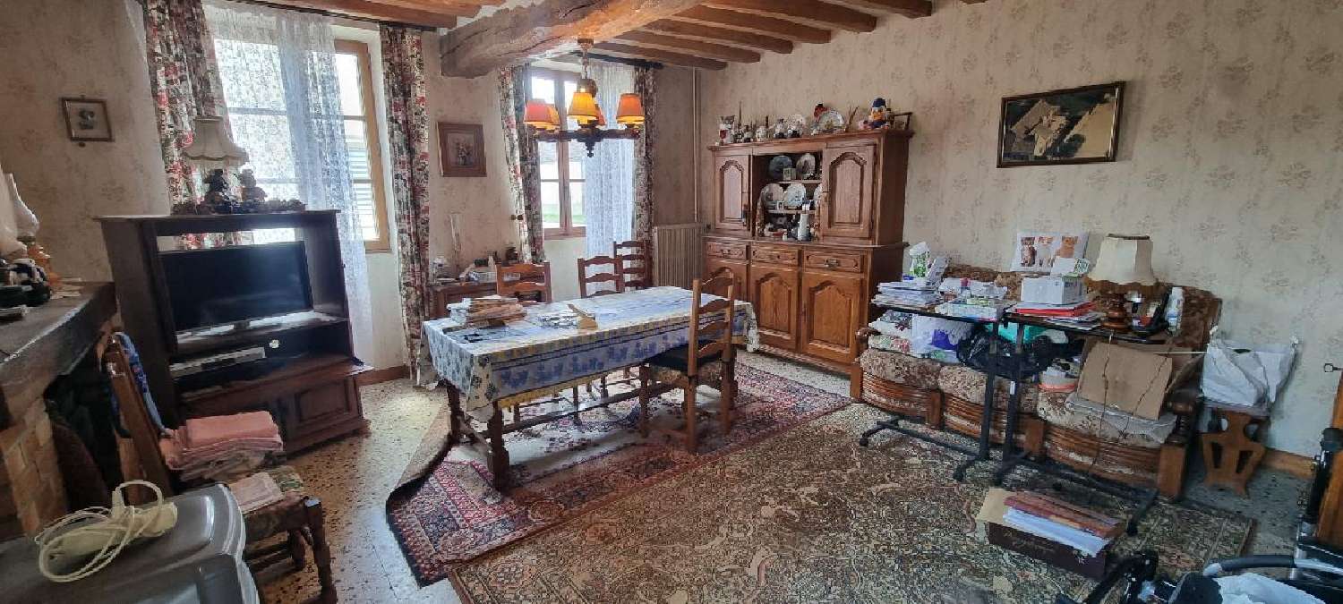  te koop huis Villeneuve-la-Guyard Yonne 4