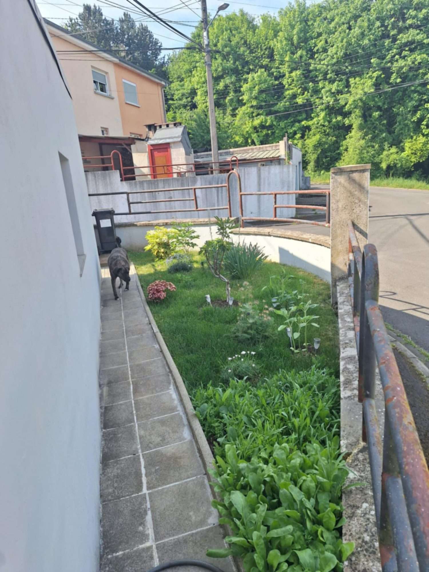  à vendre maison Villerupt Meurthe-et-Moselle 5