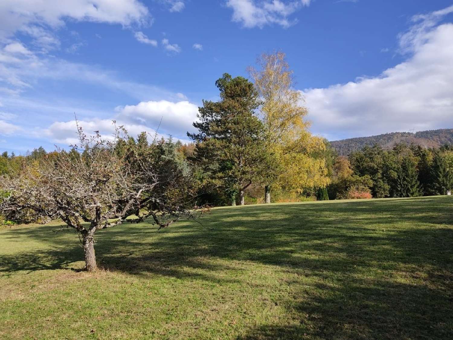  en venta casa Viuz-la-Chiésaz Haute-Savoie 7