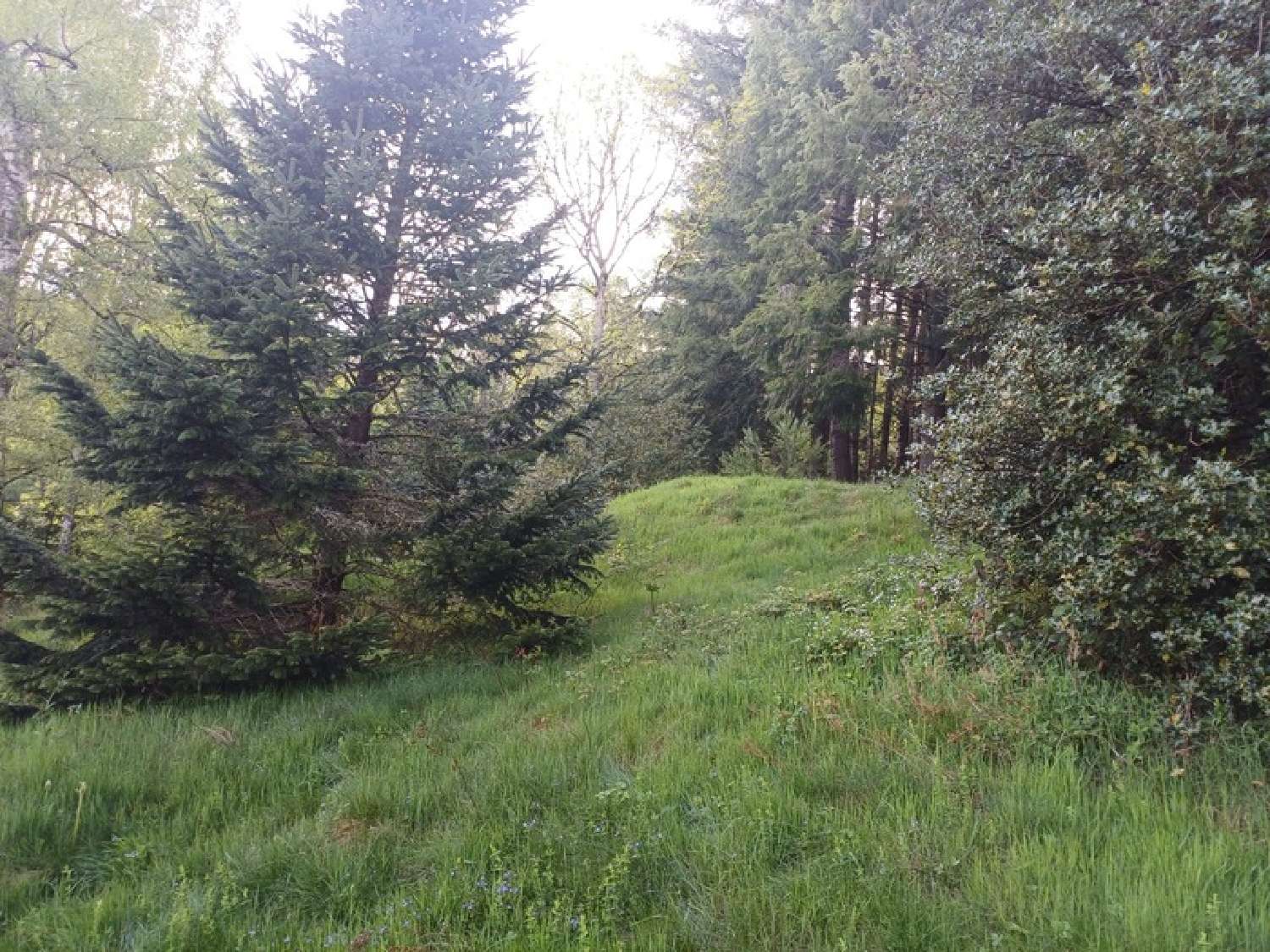  en venta casa Vollore-Ville Puy-de-Dôme 5