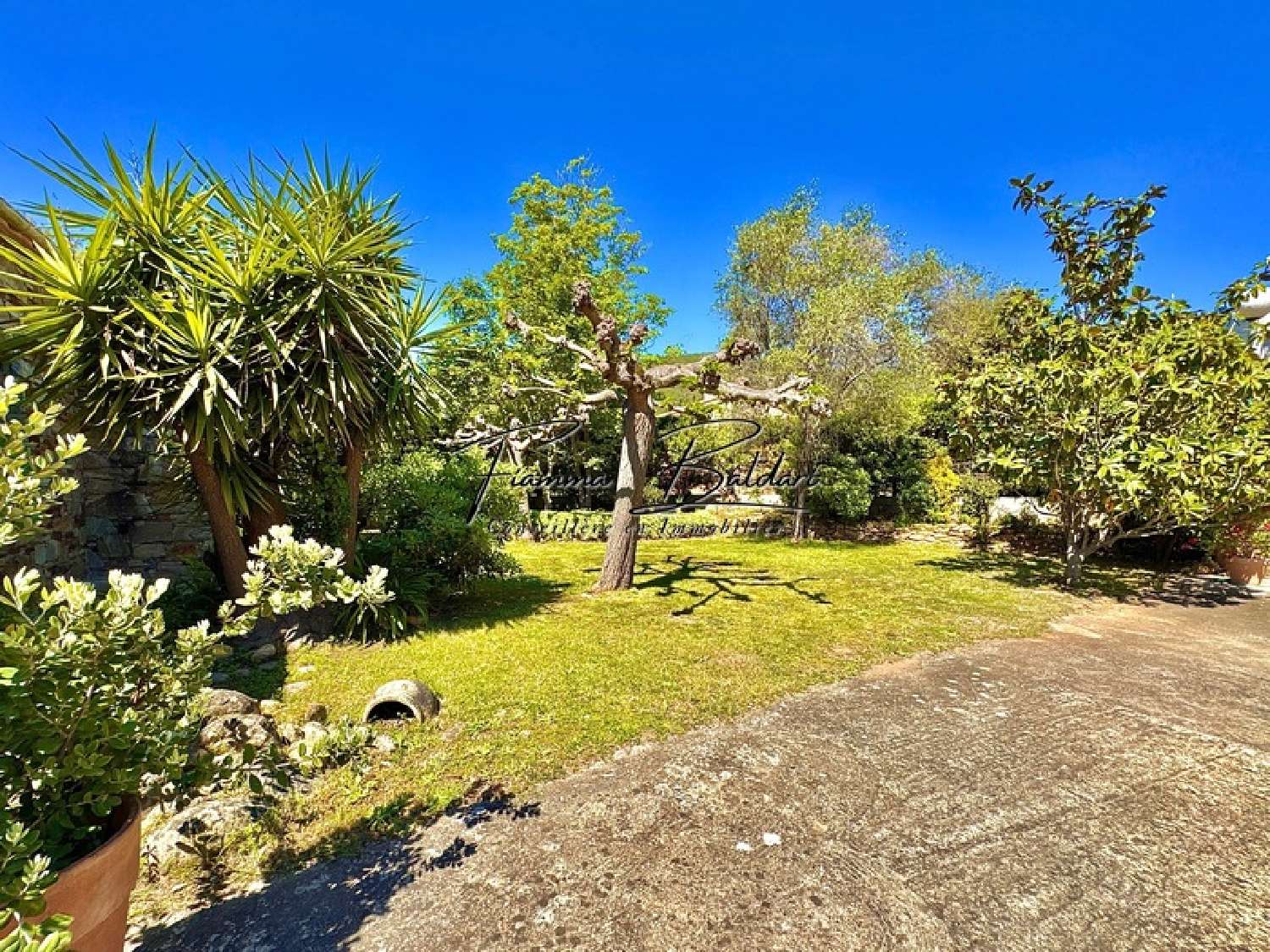  à vendre maison Volpajola Haute-Corse 4