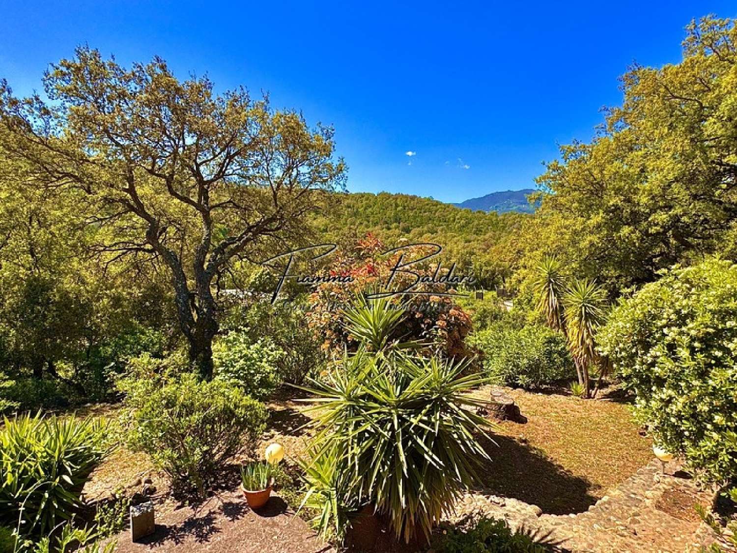  à vendre maison Volpajola Haute-Corse 6