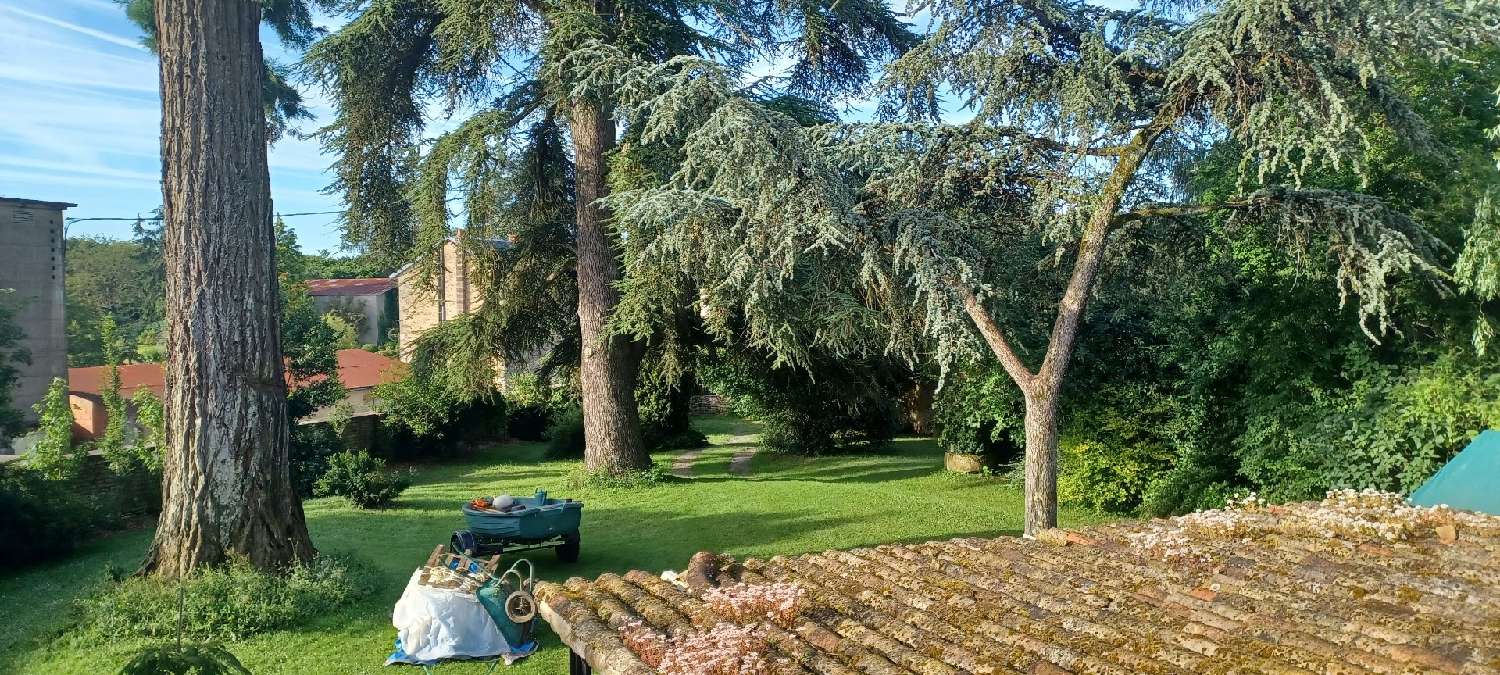 en venta casa Voulon Vienne 2