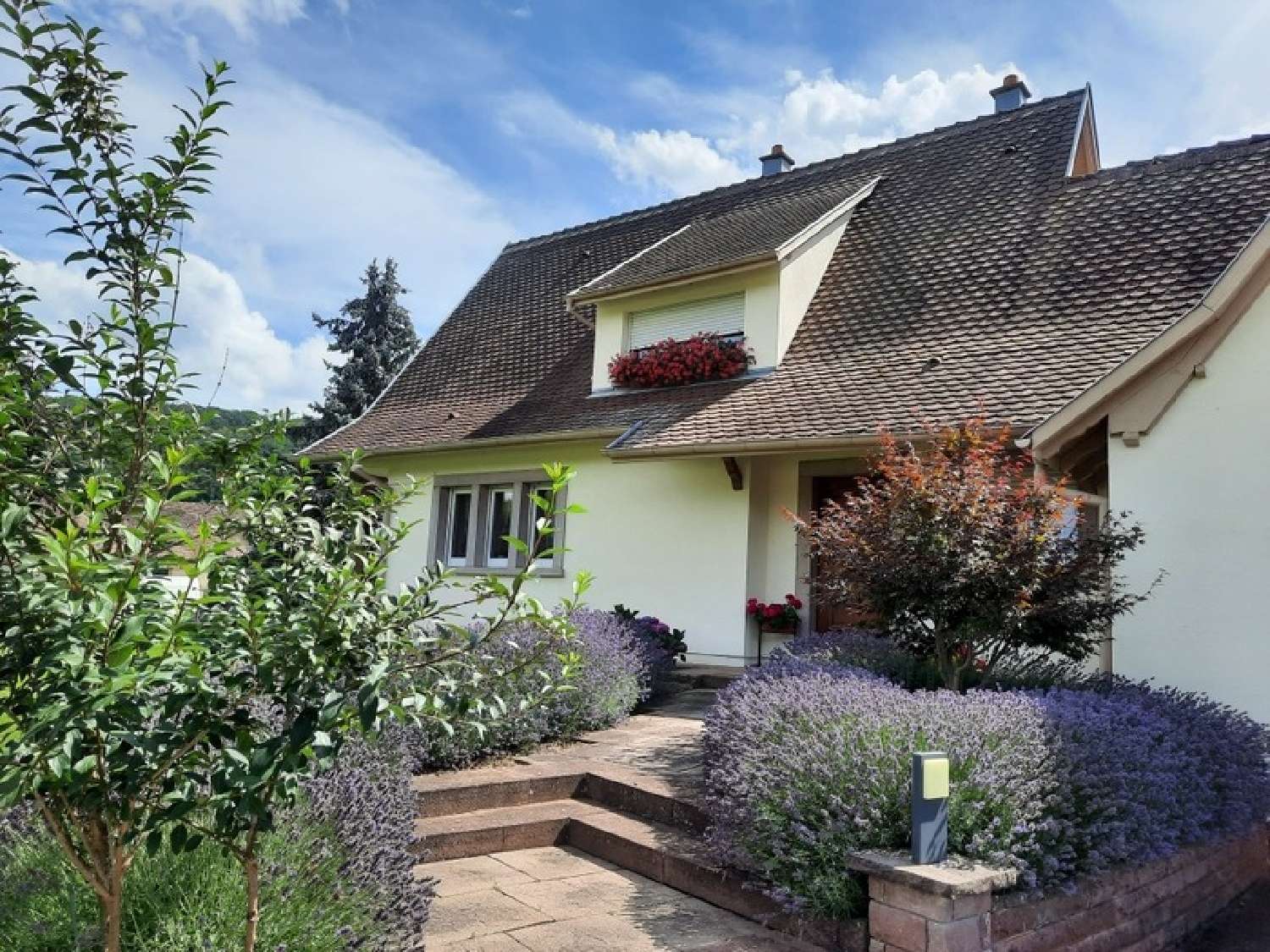  à vendre maison Westhalten Haut-Rhin 2