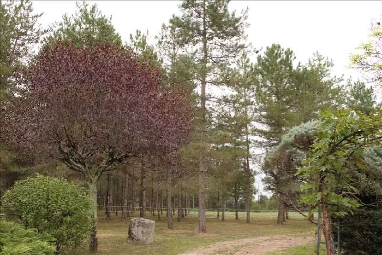  en venta mansión Graulhet Tarn 5