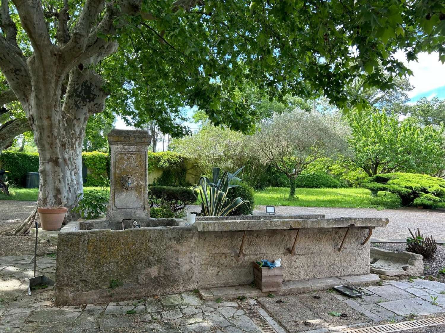  en venta mansión Monteux Vaucluse 6