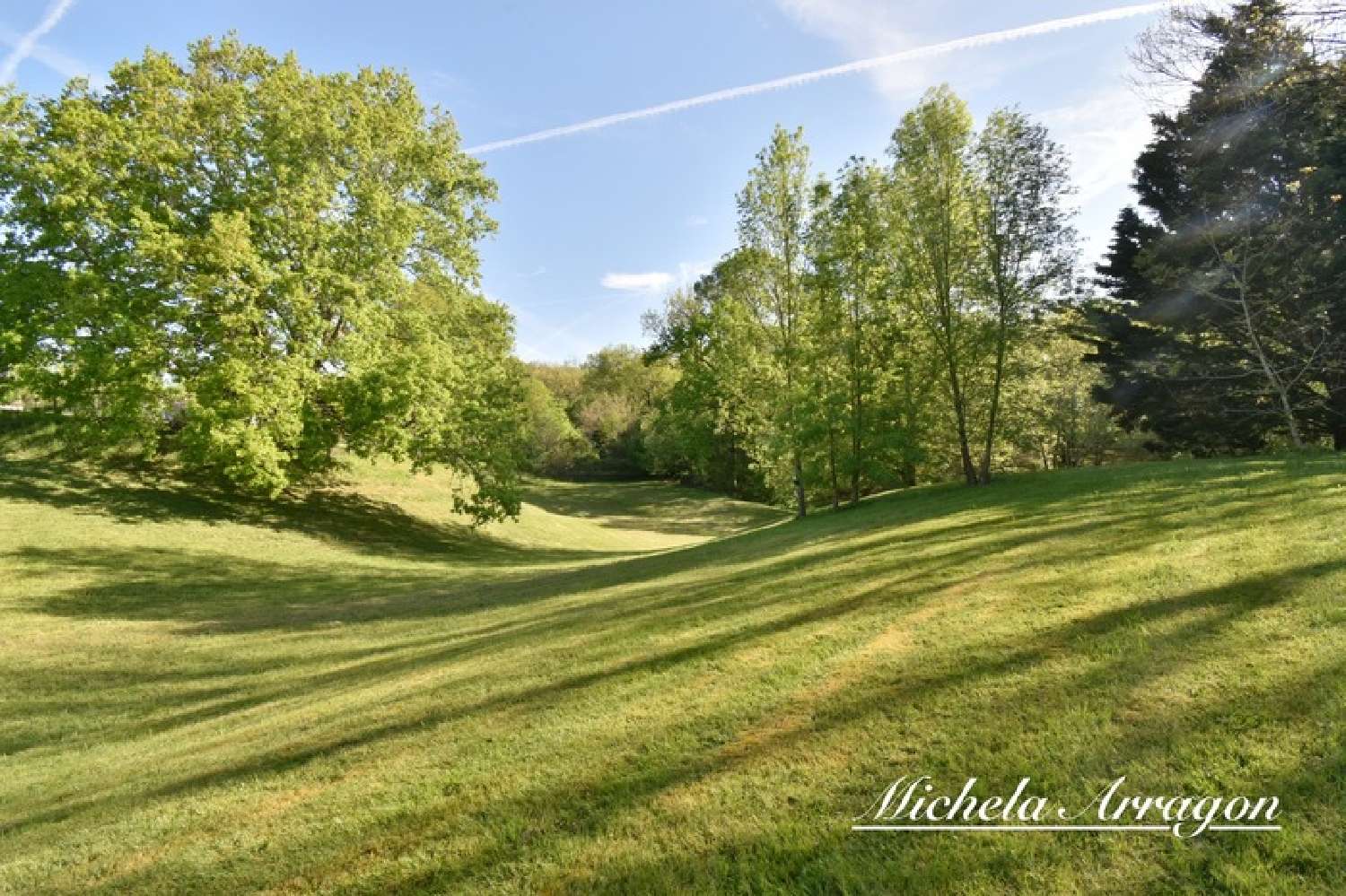  for sale mansion Pinel-Hauterive Lot-et-Garonne 2