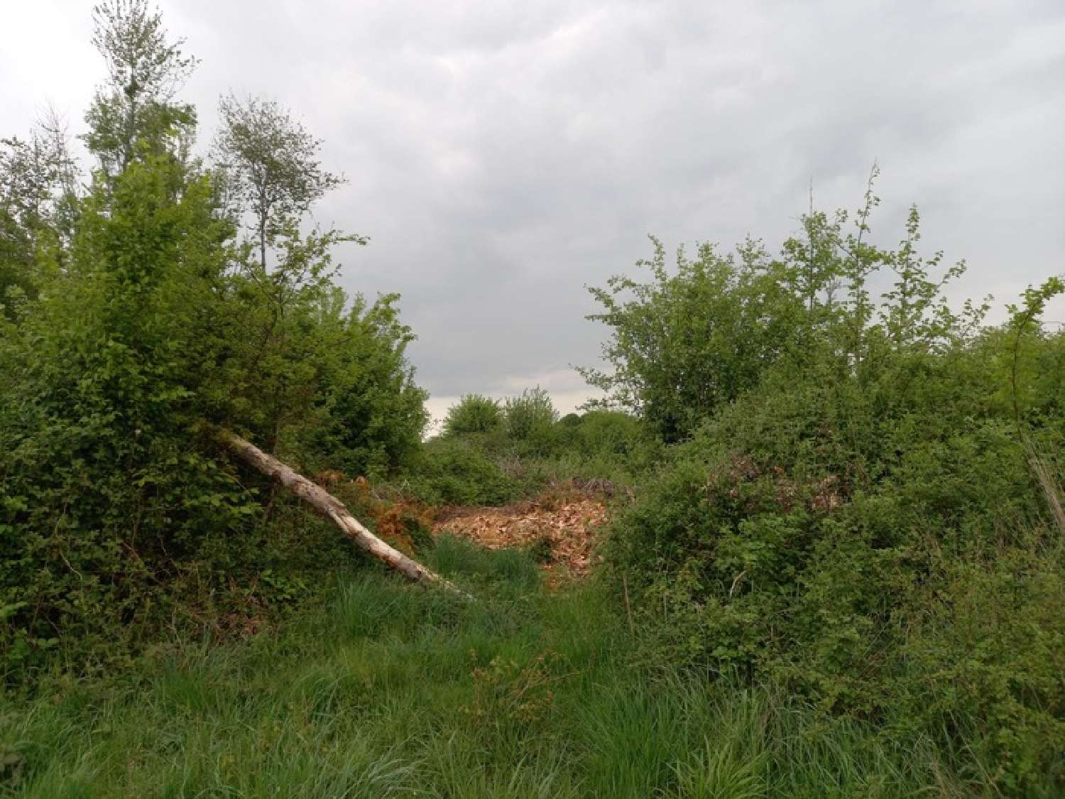  te koop terrein Courtemaux Loiret 3