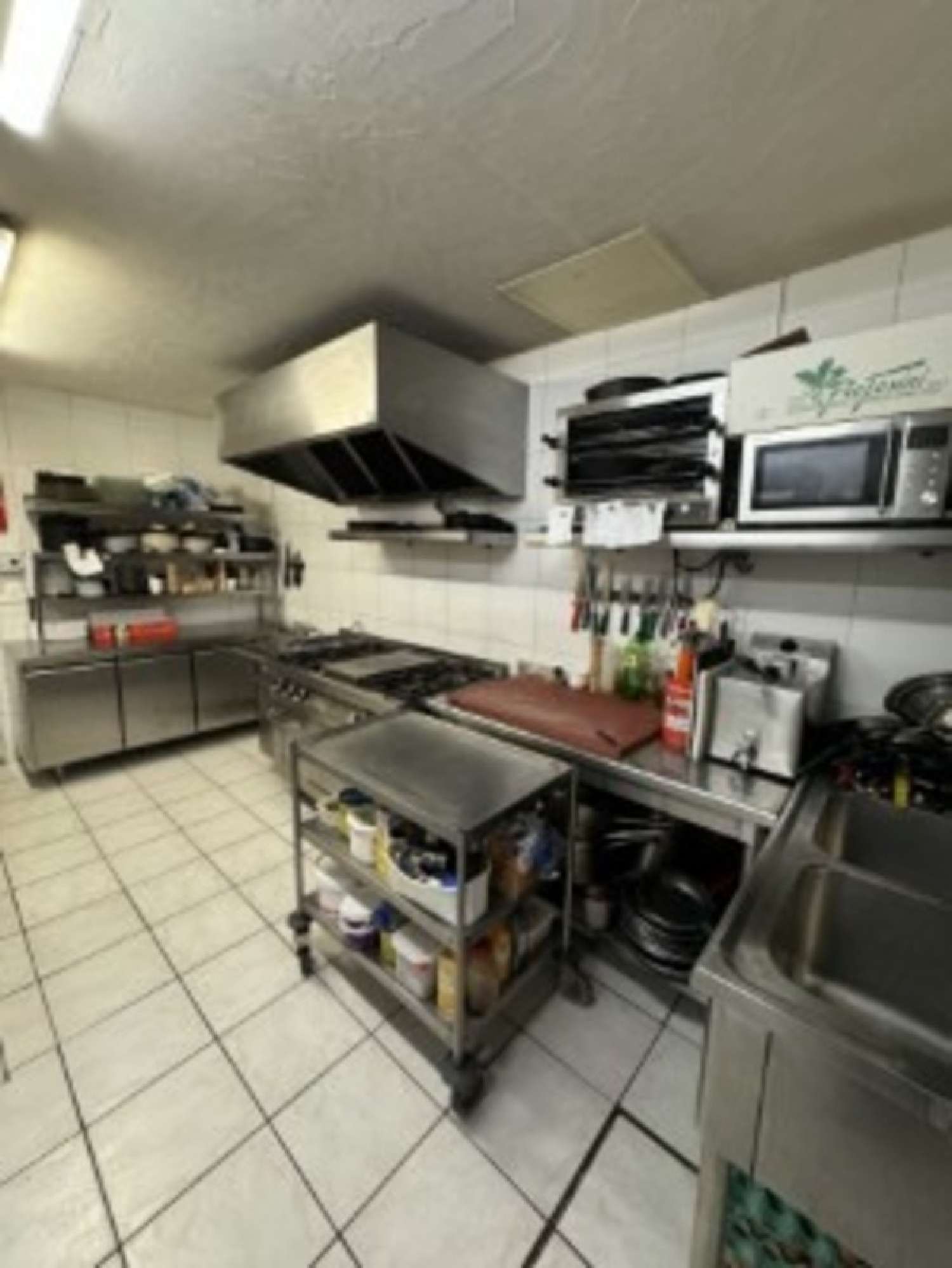  kaufen Restaurant Agen Lot-et-Garonne 3