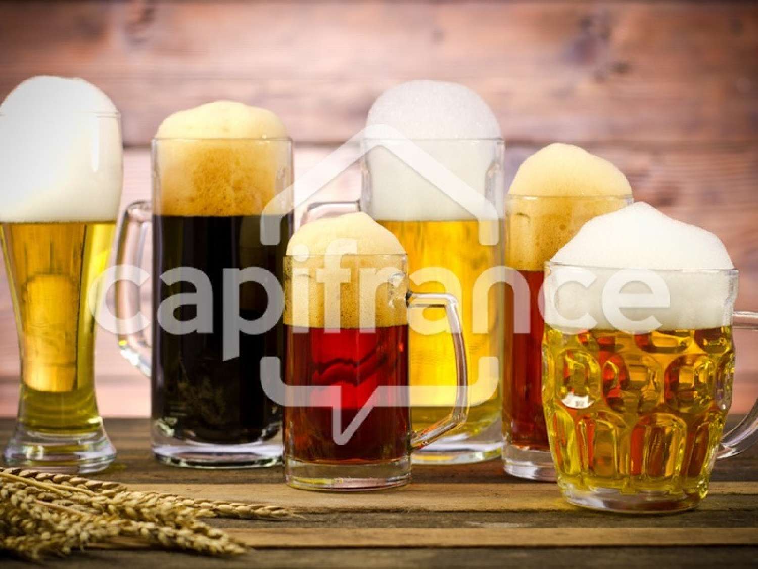  for sale restaurant Les Contamines-Montjoie Haute-Savoie 7
