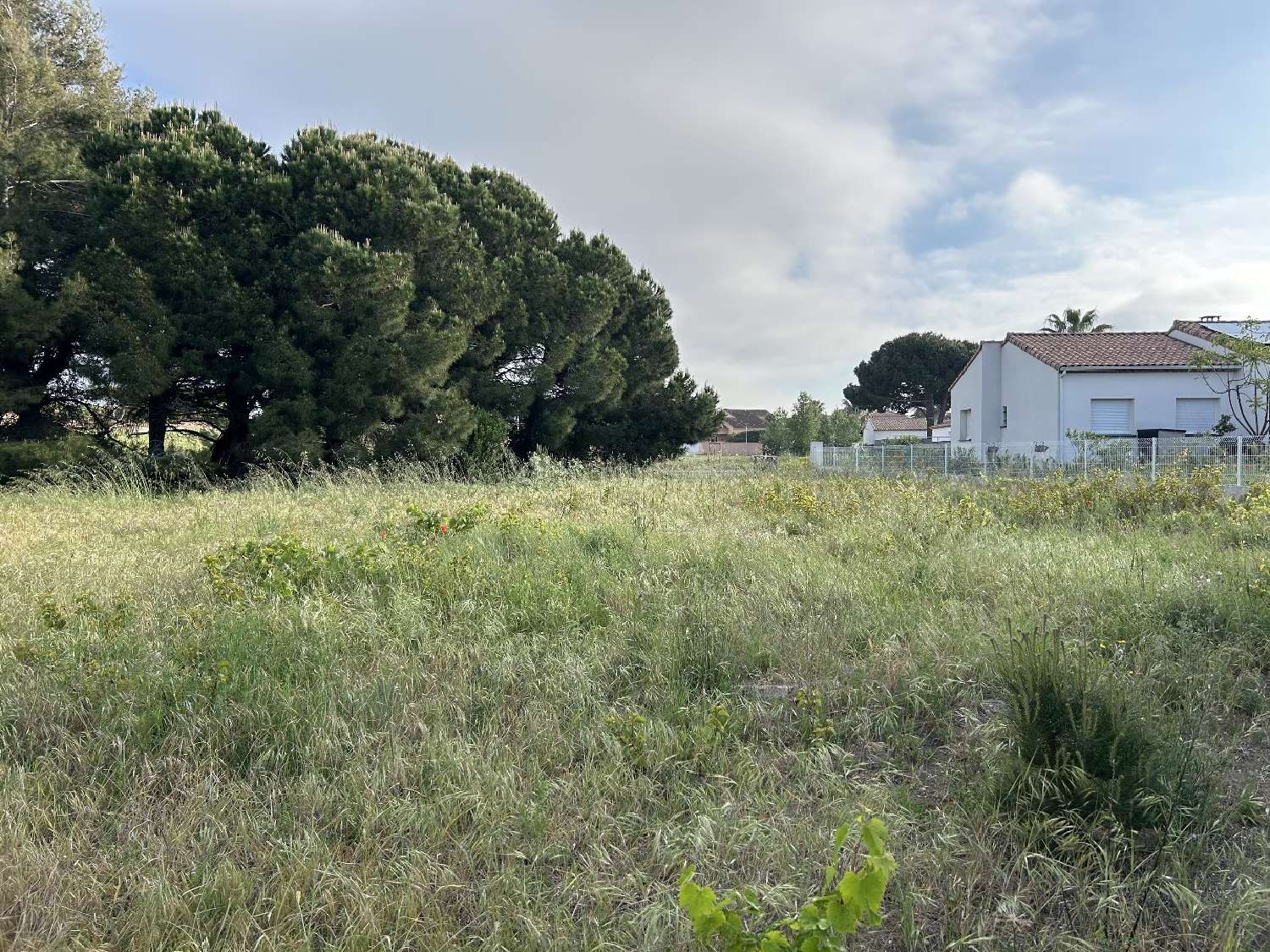  en venta terreno Agde Hérault 3