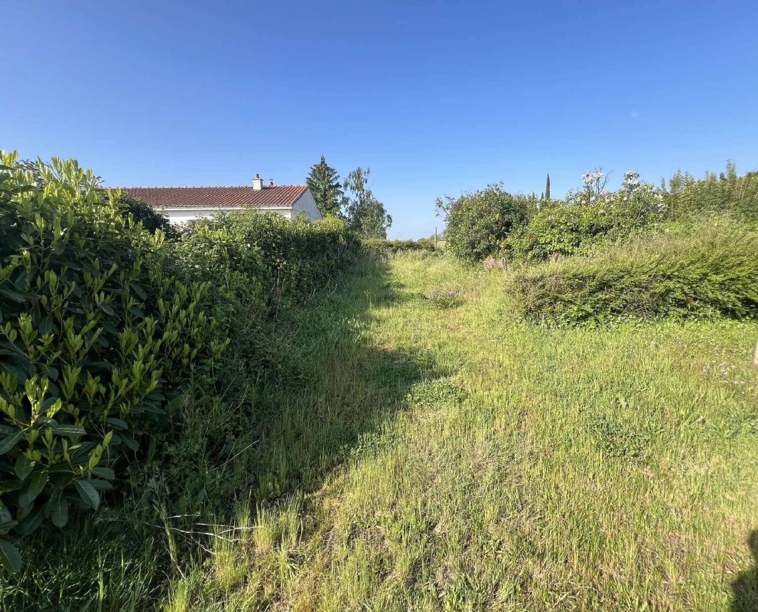  te koop terrein Aigrefeuille-sur-Maine Loire-Atlantique 3