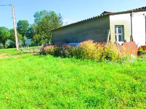 Albine Tarn terreno foto 7064610