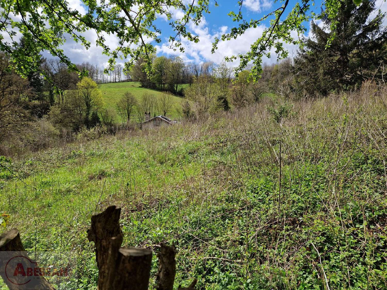  te koop terrein Anglès Tarn 3