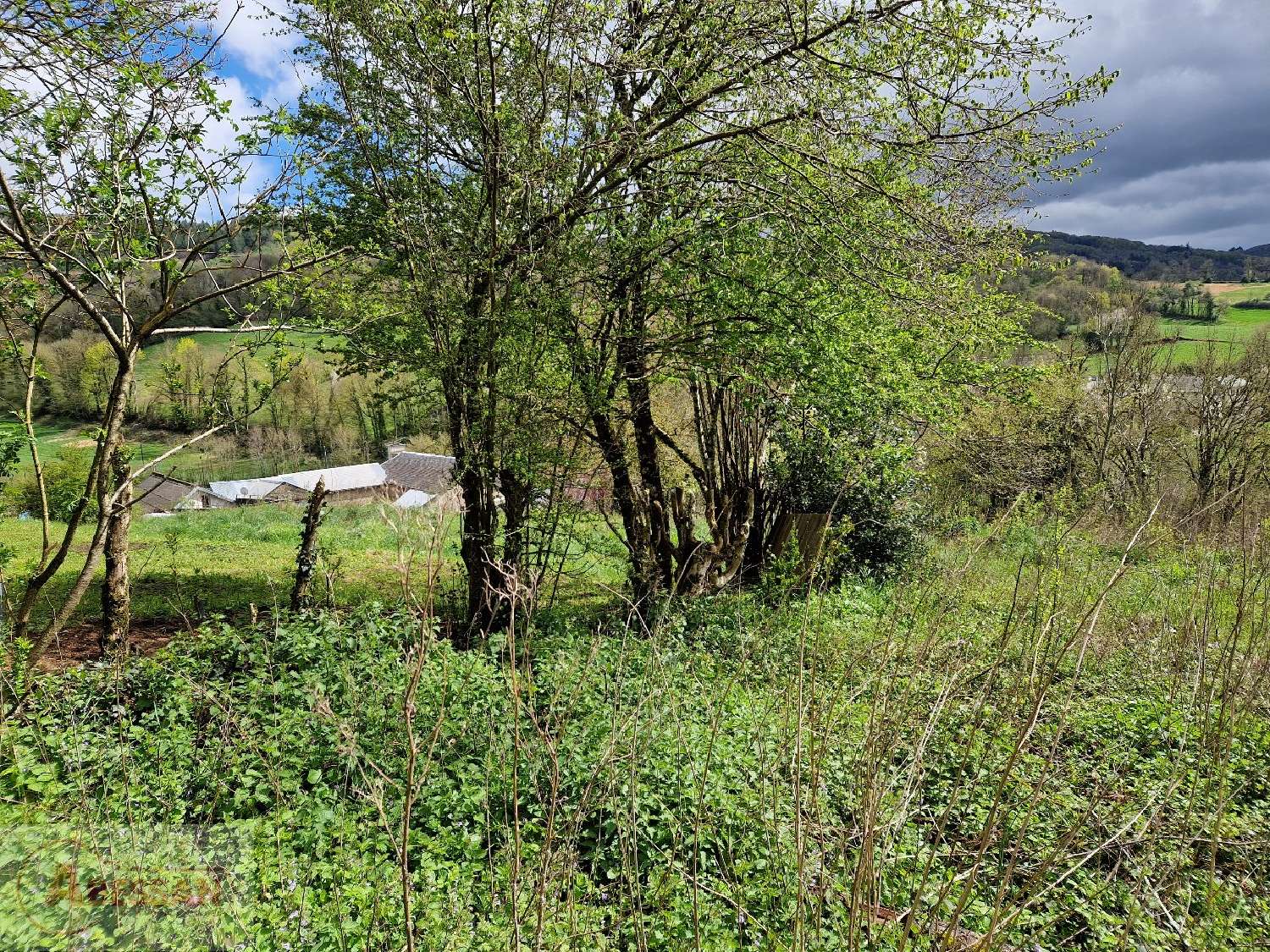  te koop terrein Anglès Tarn 4